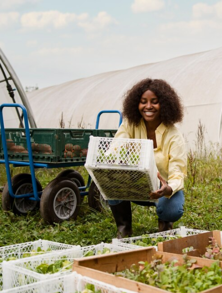 Food Processing Training